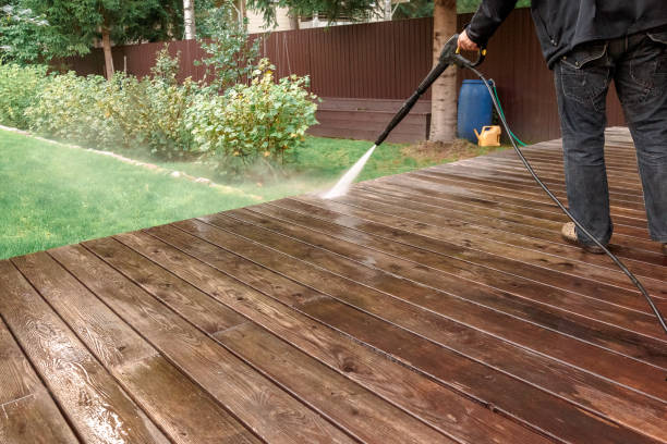 Best Sidewalk and Walkway Cleaning  in Flomaton, AL